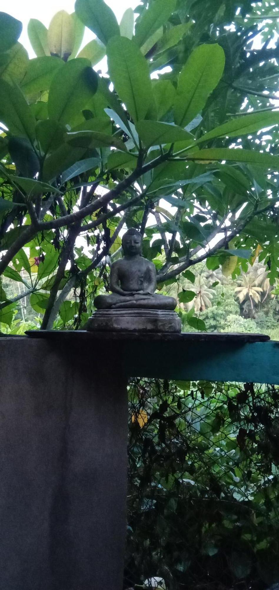 Jungle House Apartment Unawatuna Bagian luar foto
